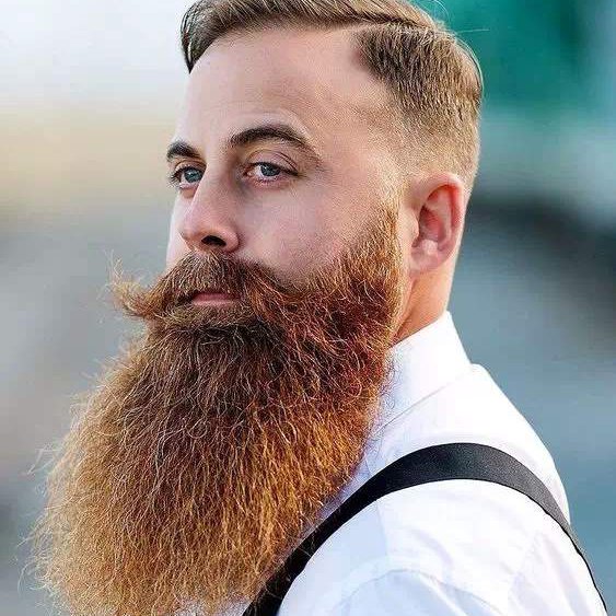 Big Natural Beard With Mustache